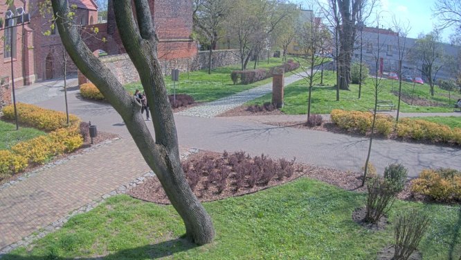 Park Kopernika
